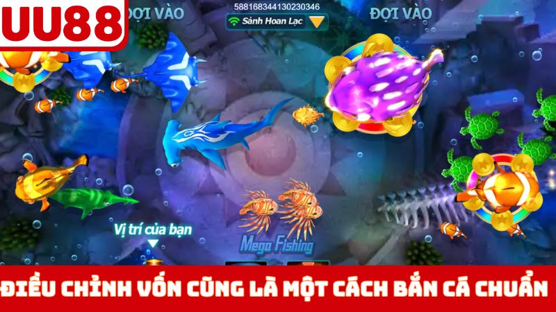 Điều chỉnh vốn cũng là một cách bắn cá siêu chuẩn 